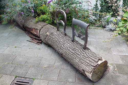 Tree-Trunk Bench by Droog Design Accessories